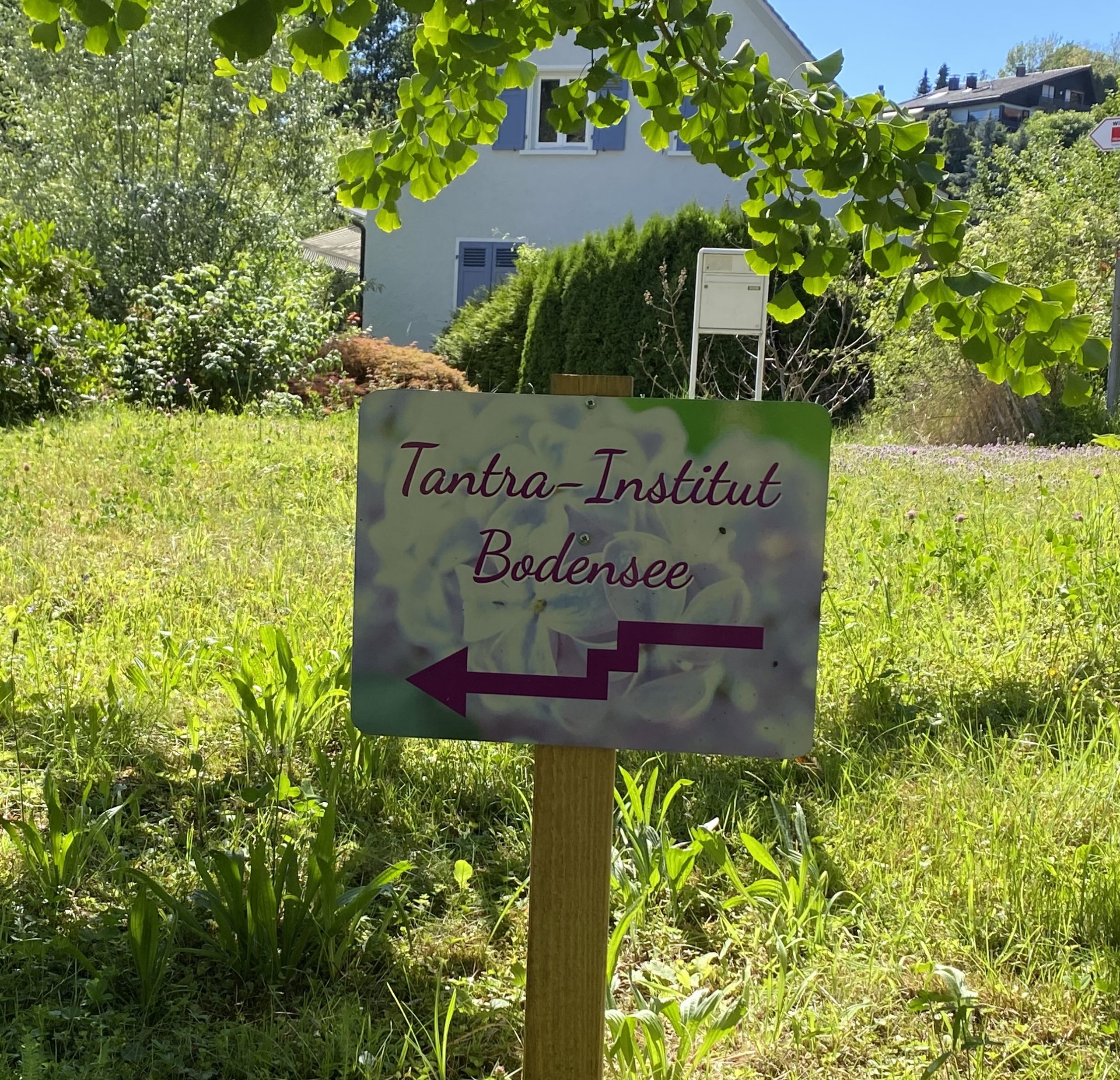Nutten Radolfzell am Bodensee